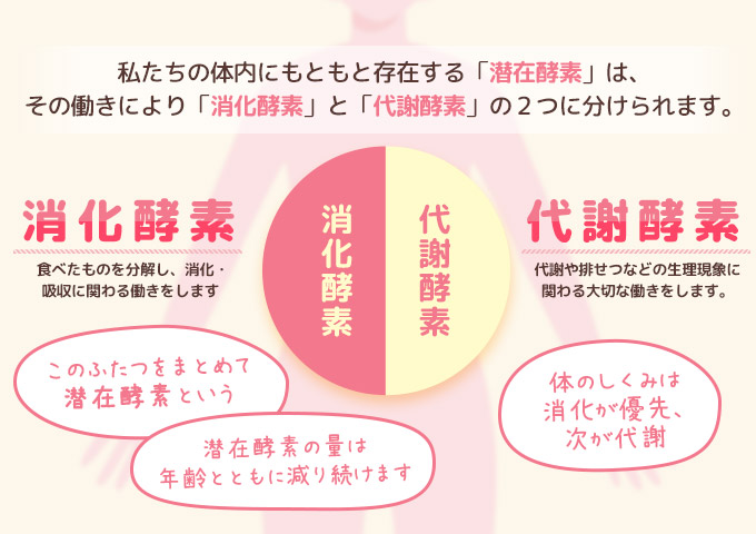酵素ダイエット
